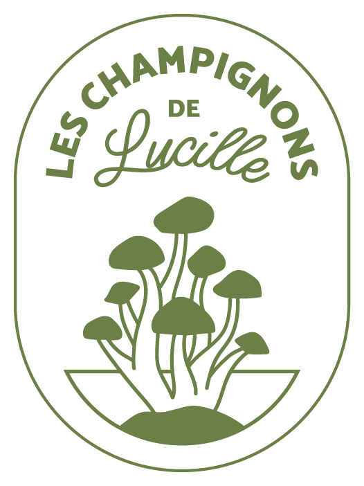 Les Champignons de Lucille